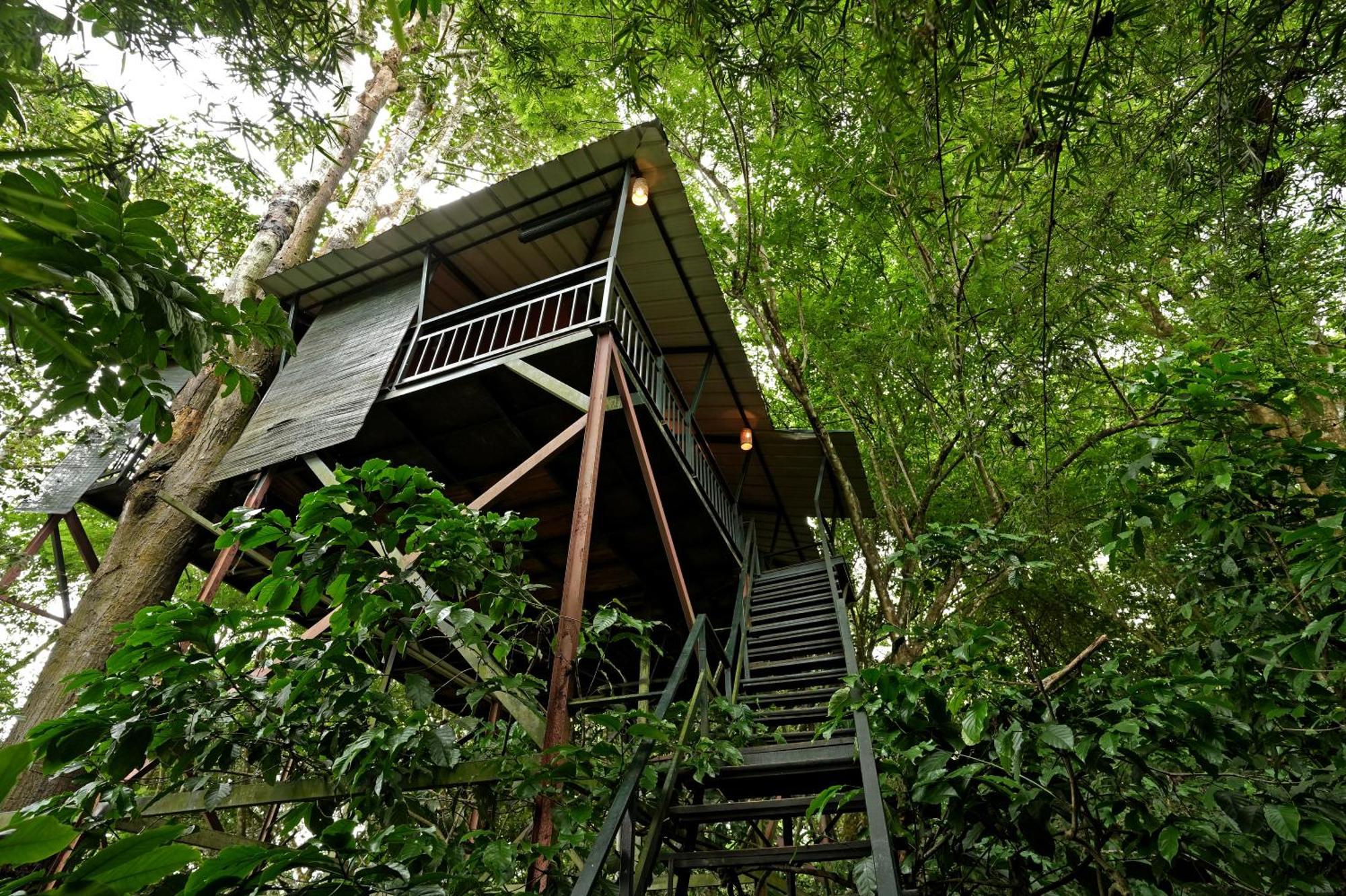 Coffee Acres Resort Kalpetta Exterior photo